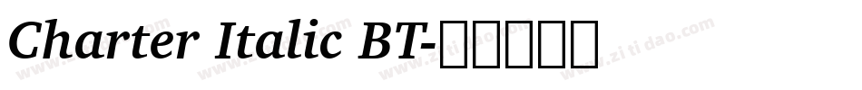 Charter Italic BT字体转换